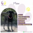 Max