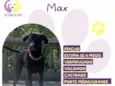 Max