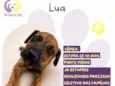 Lua