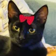 Rubi 