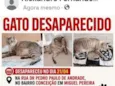 Godofredo
