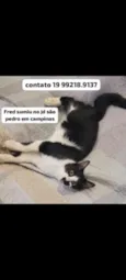 Fred