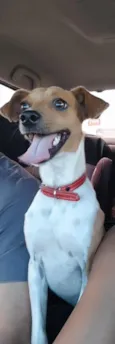bingo