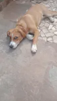 Mel