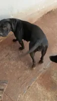 Kira todinho e feinha 