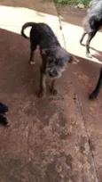 Kira todinho e feinha 
