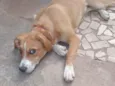 Mel