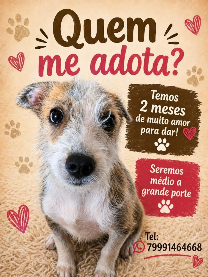 Cachorro raça SRD-ViraLata idade 2 a 6 meses nome pingo 