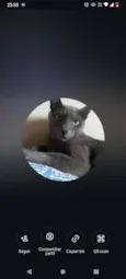 tomas