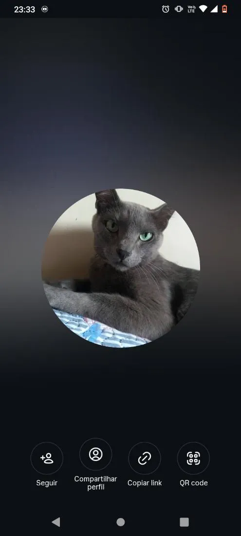 Gato raça SRD-ViraLata idade 6 ou mais anos nome tomas