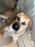 Bob
