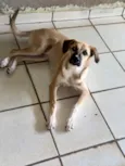 Bob