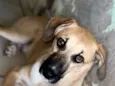 Bob