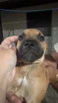Não possuem nome ainda 