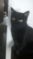 Bob