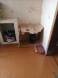 Bob