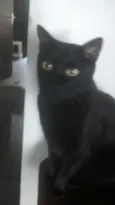 Bob