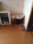 Bob