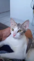 lulu
