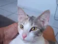 lulu