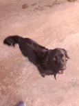 Bob
