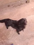 Bob