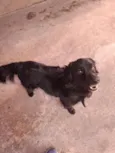 Bob