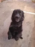 Bob