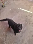 Bob