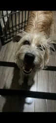 Maxx
