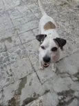 Billy Jean