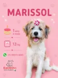Marissol