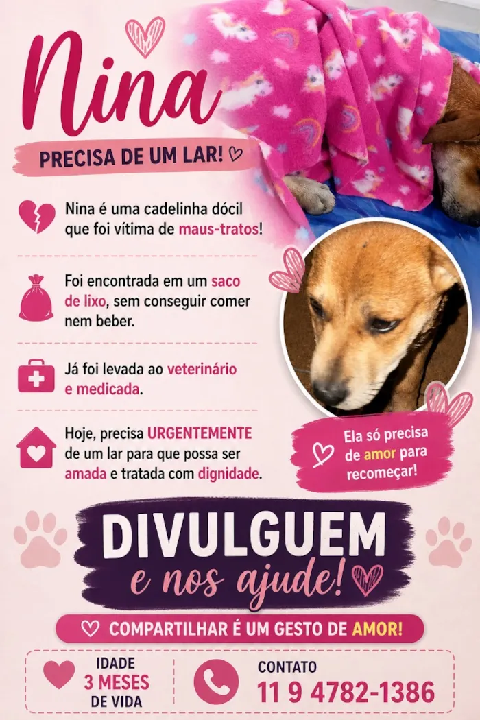 Cachorro raça SRD-ViraLata idade 2 a 6 meses nome Nina