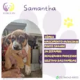 Samantha