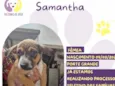 Samantha