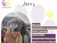 Jerry