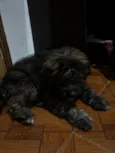 Max