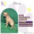 Olivia