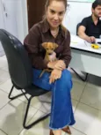 gisa