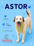 Astor