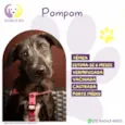 Pompom