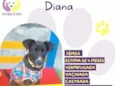 Diana
