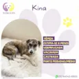 Kina