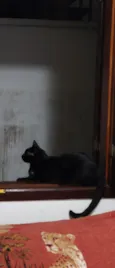 Diguinho 
