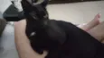 Diguinho 