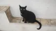Diguinho 