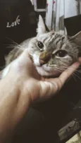 Nina
