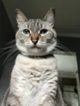 Nina