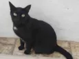 Diguinho 