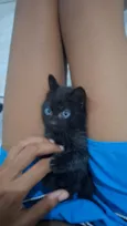 não tem nome 